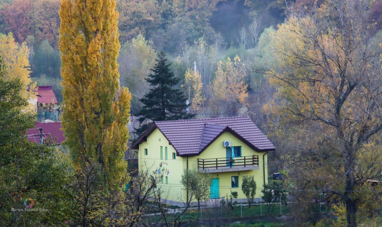 Pensiunea Happy Schitu Topolnitei Dış mekan fotoğraf