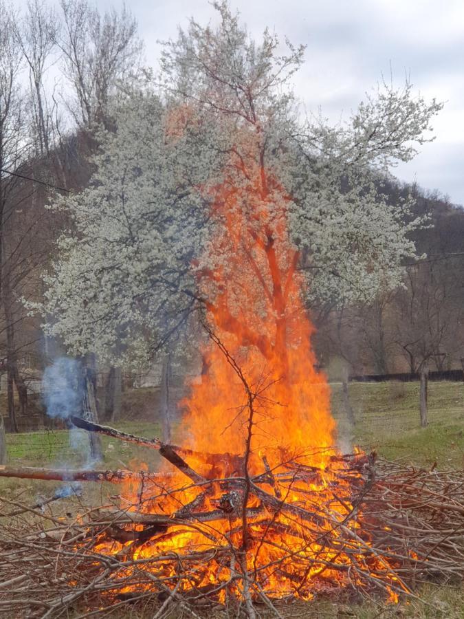 Pensiunea Happy Schitu Topolnitei Dış mekan fotoğraf