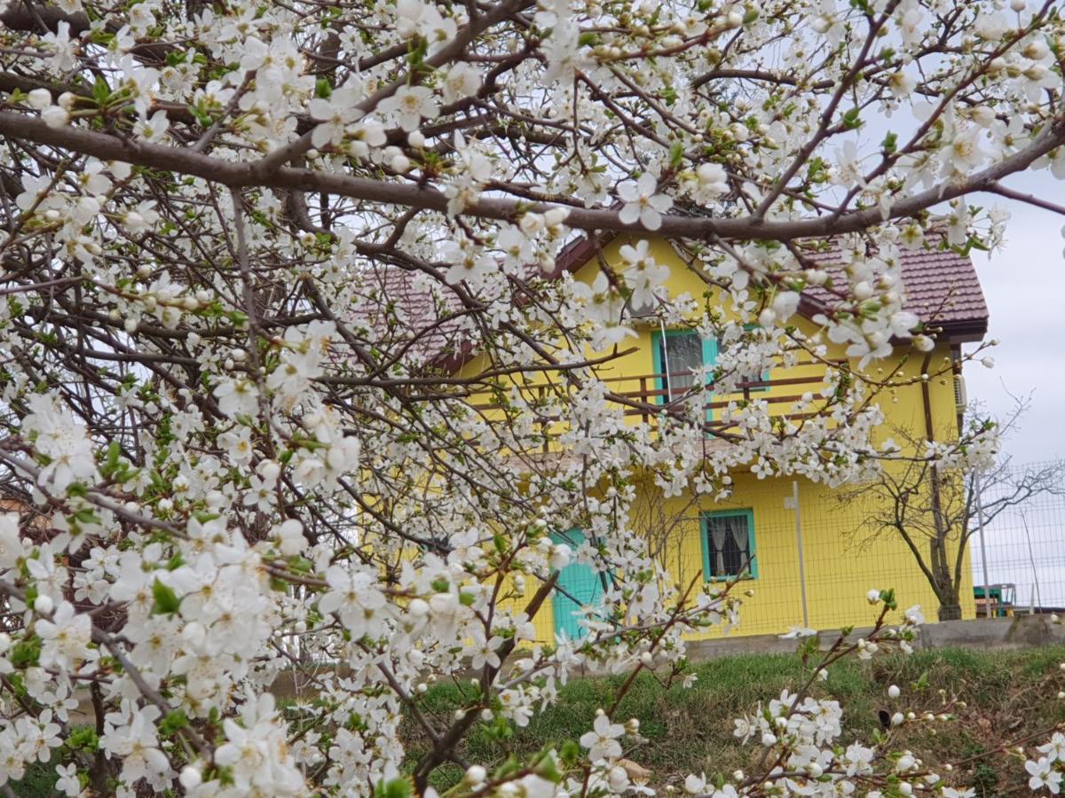 Pensiunea Happy Schitu Topolnitei Dış mekan fotoğraf
