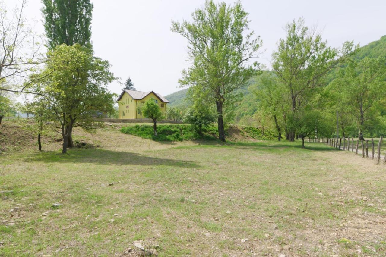 Pensiunea Happy Schitu Topolnitei Dış mekan fotoğraf